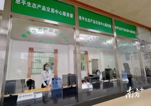 綠水青山變金山銀山 恩平生態產品交易中心成立，家政服務助力生態價值轉化